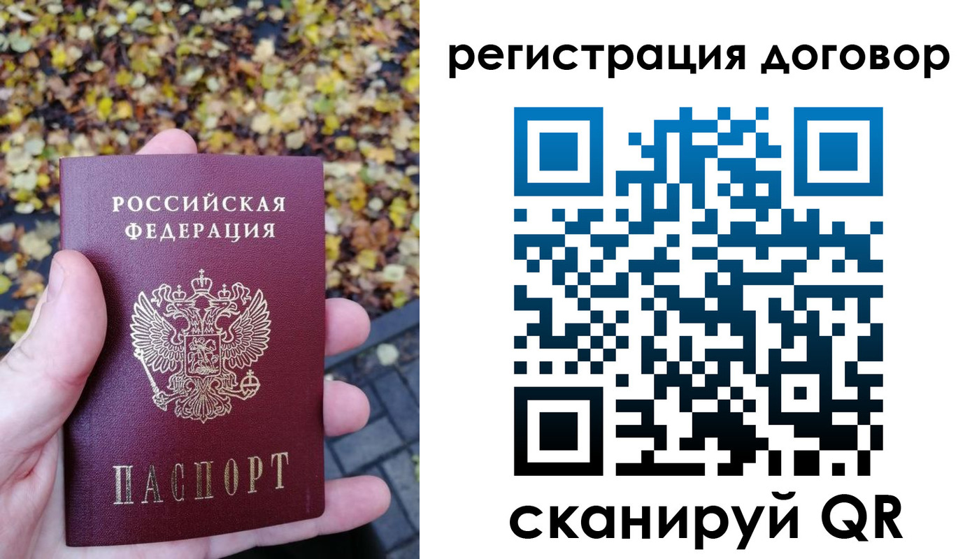 найти адрес прописки в Ельне