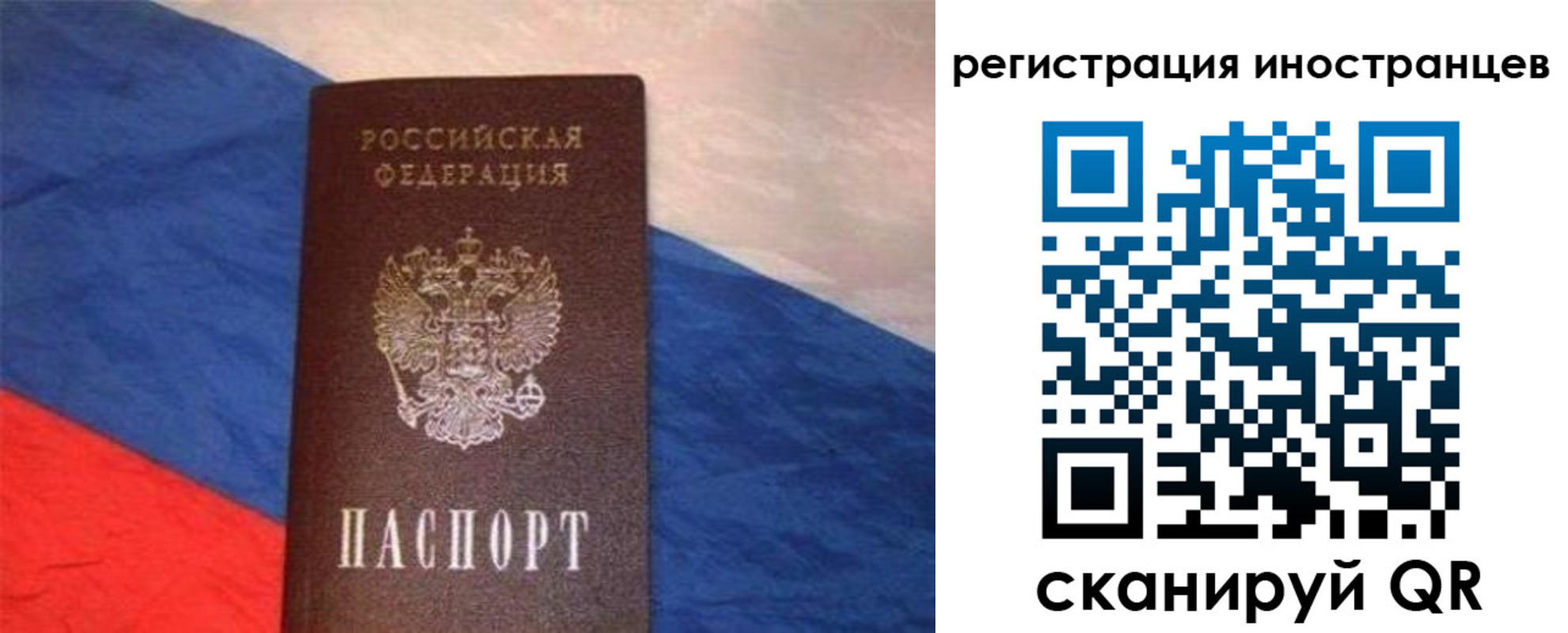 прописка в Ельне